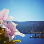 Wochner's Hotel-sternen Am Hochschwarzwald Schluchsee