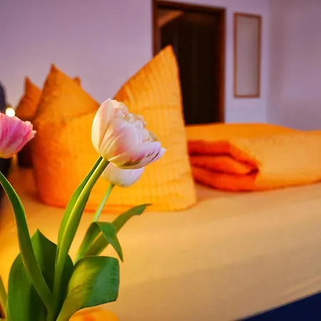 Wochner's Hotel-sternen Am Hochschwarzwald 3*