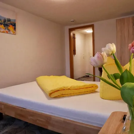 Отель Wochner's Hotel-sternen Am Hochschwarzwald