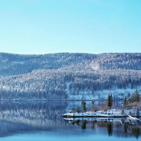 Отель Wochner's Hotel-sternen Am Hochschwarzwald