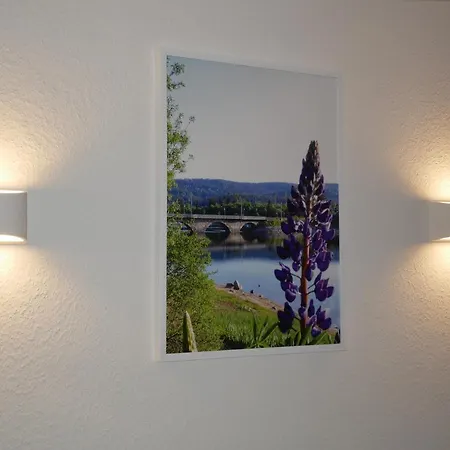 Отель Wochner's Hotel-sternen Am Hochschwarzwald