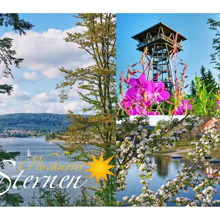 Wochner's Hotel-sternen Am Hochschwarzwald