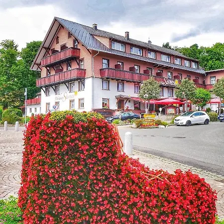 Wochner's Hotel-sternen Am Hochschwarzwald 3* Schluchsee