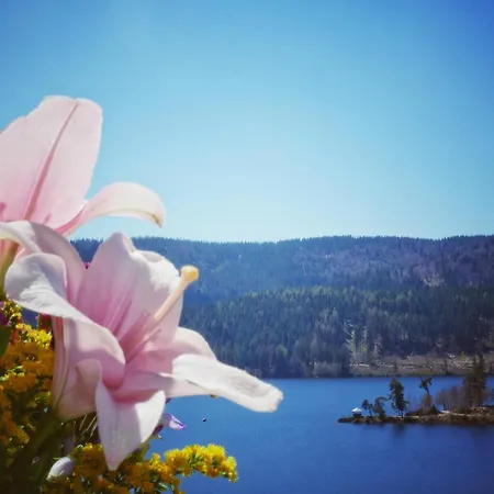 Wochner's Hotel-sternen Am Hochschwarzwald Schluchsee