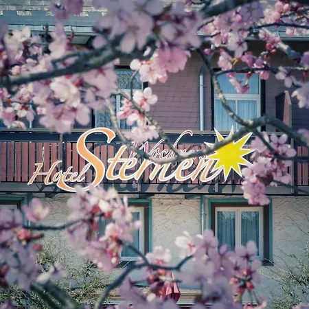 Отель Wochner's Hotel-sternen Am Hochschwarzwald 3*