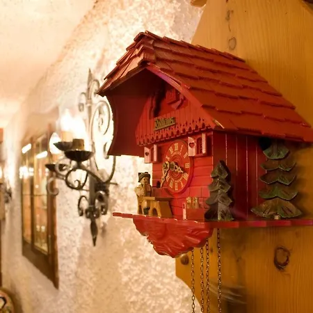 Wochner'S Hotel-Sternen Am Schluchsee Hochschwarzwald Hotel 3*