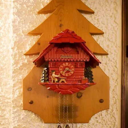 Wochner's Hotel-sternen Am Hochschwarzwald